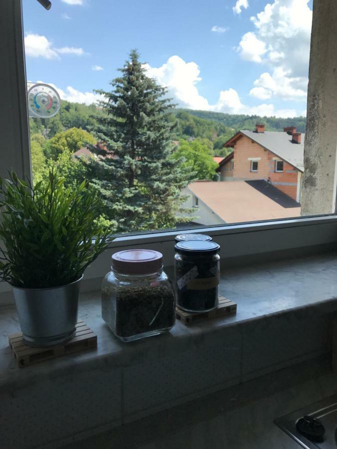 Apartament Przy Rynku Wisła Kültér fotó