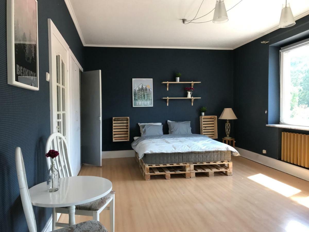 Apartament Przy Rynku Wisła Kültér fotó